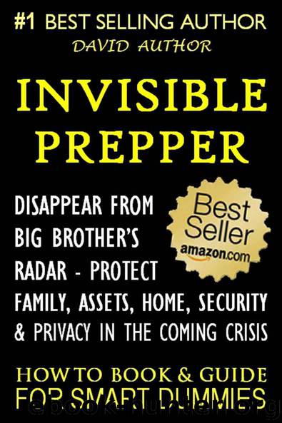 INVISIBLE PREPPER - DISAPPEAR FROM BIG BROTHER’S RADAR - PROTECT FAMILY, ASSETS, HOME, SECURITY & PRIVACY IN THE COMING CRISIS - HOW TO BOOK & GUIDE FOR SMART DUMMIES by DAVID AUTHOR