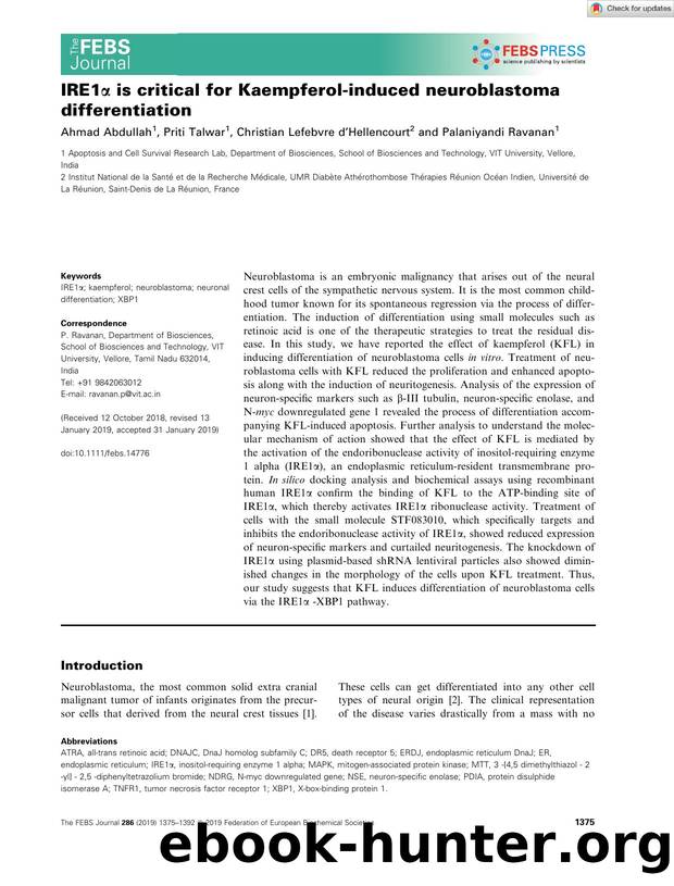 IRE1Î± is critical for Kaempferolâinduced neuroblastoma differentiation by Unknown
