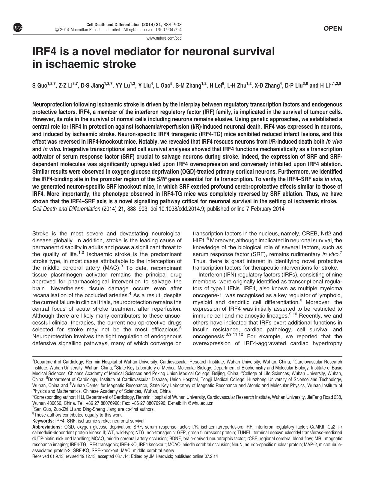IRF4 is a novel mediator for neuronal survival in ischaemic stroke by unknow