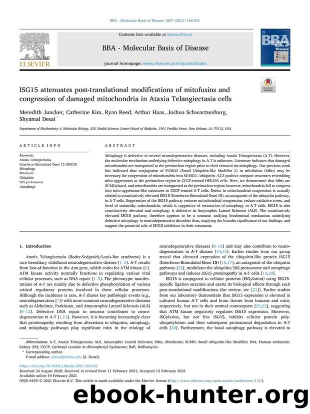ISG15 attenuates post-translational modifications of mitofusins and congression of damaged mitochondria in Ataxia Telangiectasia cells by Meredith Juncker & Catherine Kim & Ryan Reed & Arthur Haas & Joshua Schwartzenburg & Shyamal Desai