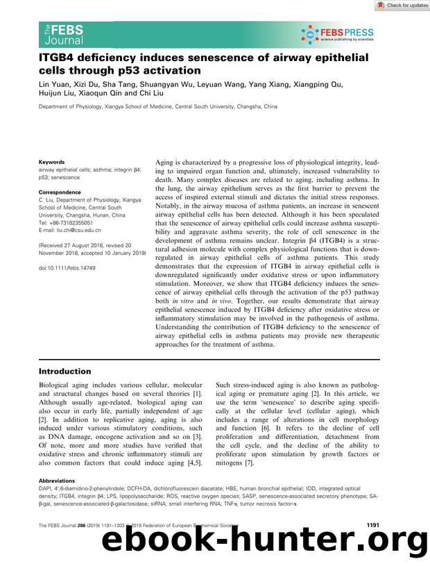 ITGB4 deficiency induces senescence of airway epithelial cells through p53 activation by Unknown