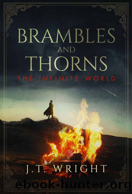 IW-04. Brambles And Thorns by Wright J T