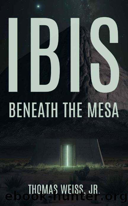 Ibis Beneath The Mesa by Thomas Weiss