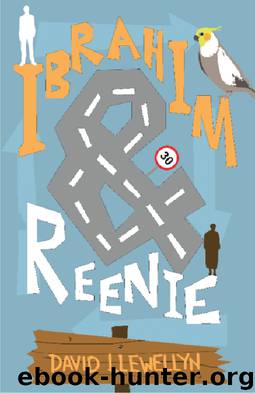 Ibrahim &amp; Reenie by David Llewellyn