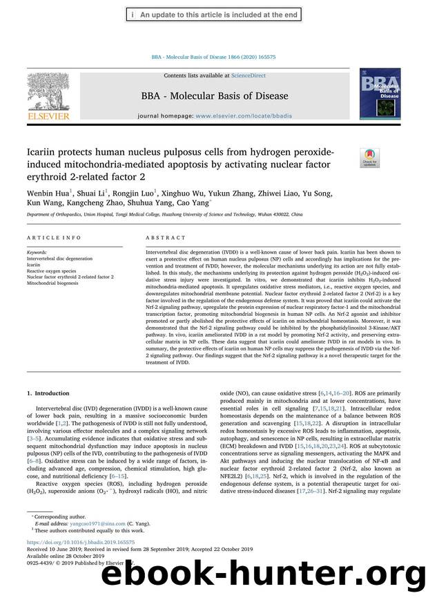 Icariin protects human nucleus pulposus cells from hydrogen peroxide-induced mitochondria-mediated apoptosis by activating nuclear factor erythroid 2-related factor 2 by unknow