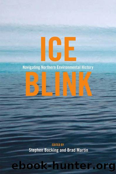 Ice Blink by Stephen Bocking Brad Martin