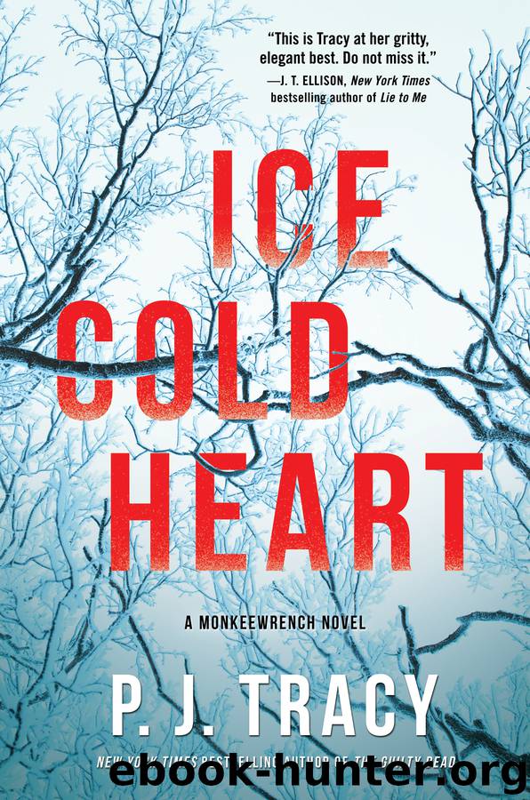 Ice Cold Heart by P J Tracy