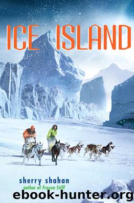 Ice Island by Sherry Shahan