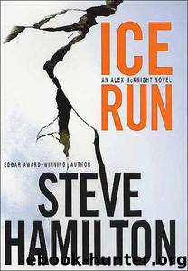Ice Run by Steve Hamilton