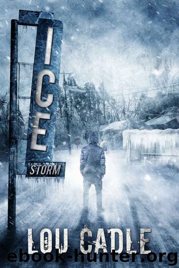 Ice Storm by Lou Cadle