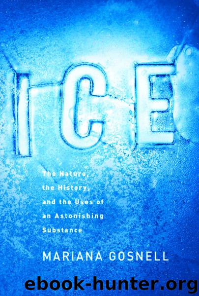 Ice by Mariana Gosnell
