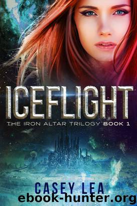 IceFlight by Casey Lea