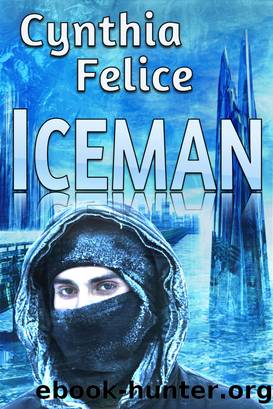 Iceman by Cynthia Felice