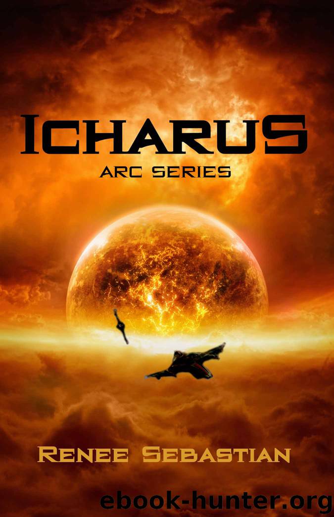 Icharus_ARC Series by Renee Sebastian