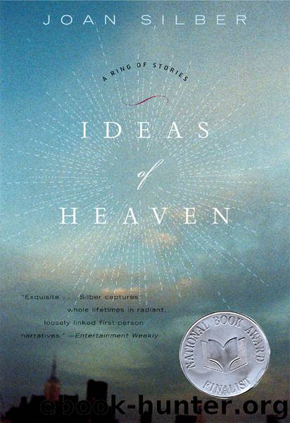 Ideas of Heaven by Joan Silber