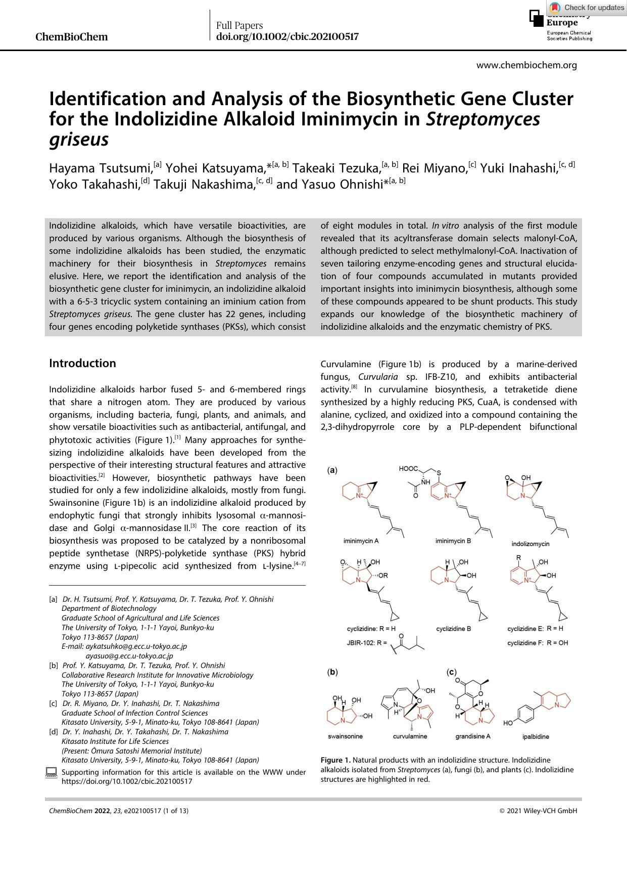 Identification and Analysis of the Biosynthetic Gene Cluster for the Indolizidine Alkaloid Iminimycin in Streptomyces griseus by Unknown