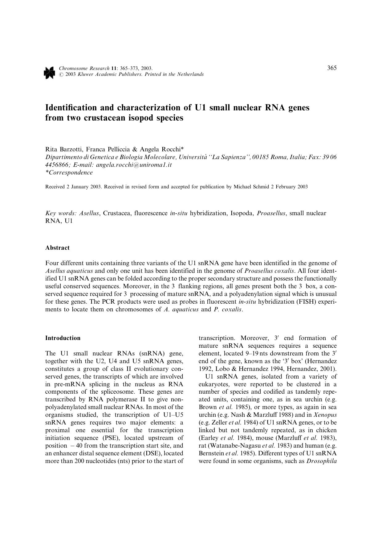 Identification and characterization of U1 small nuclear RNA genes from two crustacean isopod species by Unknown