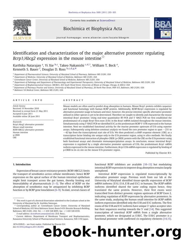 Identification and characterization of the major alternative promoter regulating Bcrp1Abcg2 expression in the mouse intestine by Karthika Natarajan & Yi Xie & Takeo Nakanishi & William T. Beck & Kenneth S. Bauer & Douglas D. Ross
