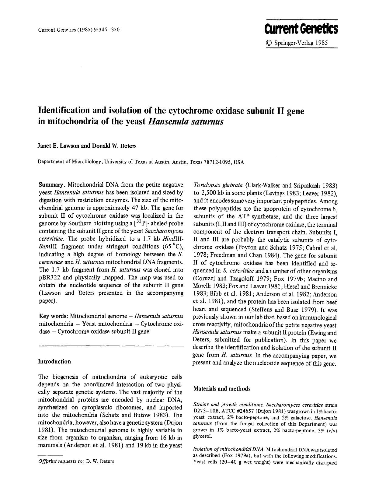 Identification and isolation of the cytochrome oxidase subunit II gene in mitochondria of the yeast <Emphasis Type="Italic">Hansenula saturnus<Emphasis> by Unknown