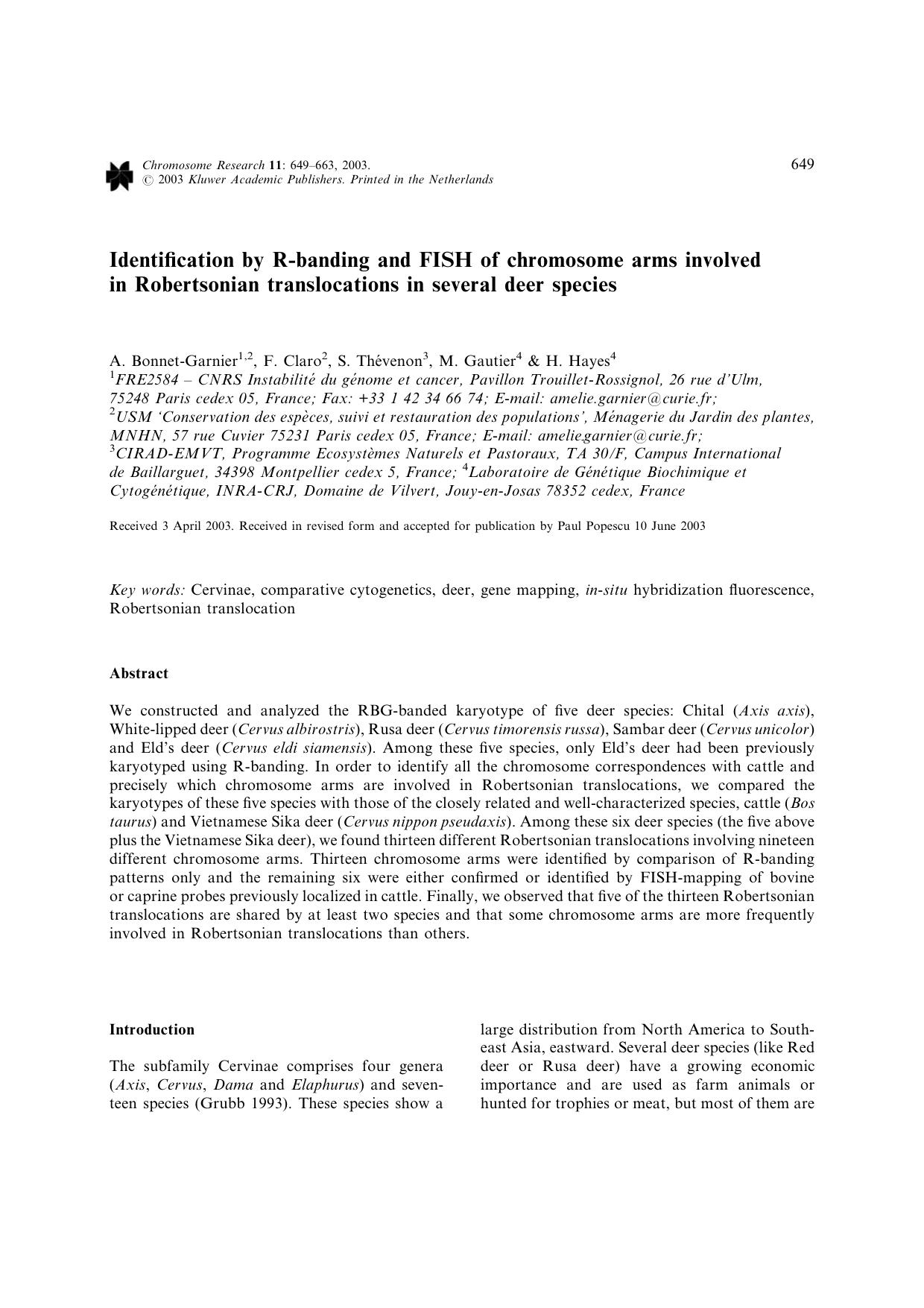 Identification by R-banding and FISH of chromosome arms involved in Robertsonian translocations in several deer species by Unknown