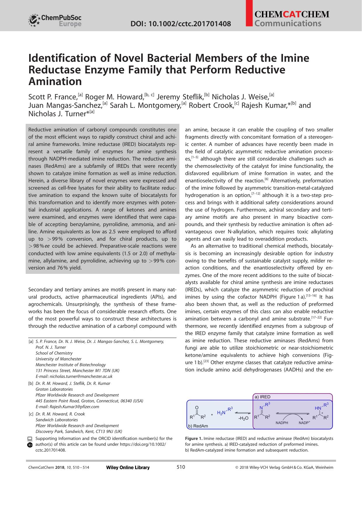 Identification of Novel Bacterial Members of the Imine Reductase Enzyme Family that Perform Reductive Amination by Unknown
