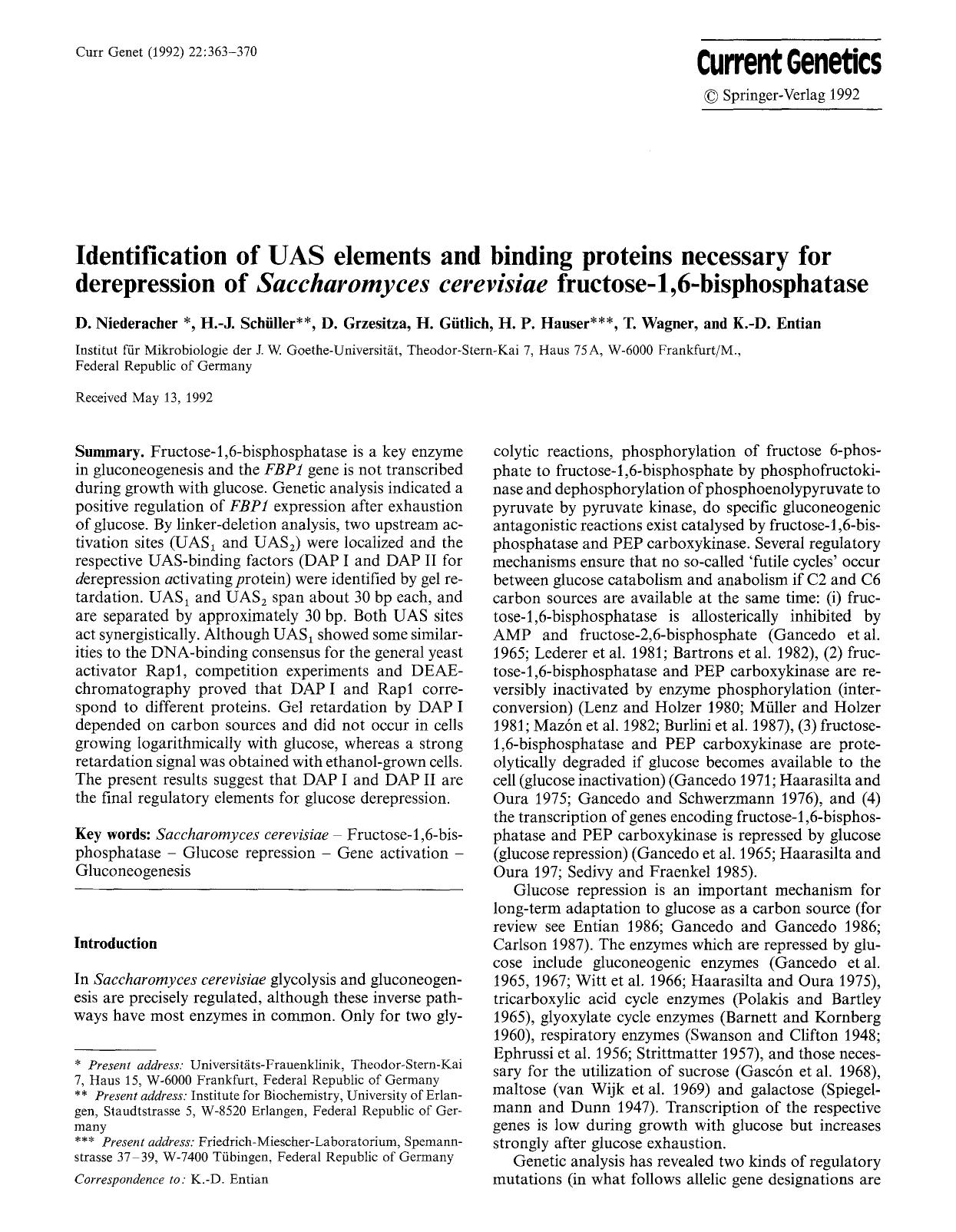 Identification of UAS elements and binding proteins necessary for derepression of <Emphasis Type="Italic">Saccharomyces cerevisiae<Emphasis> fructose-1,6-bisphosphatase by Unknown