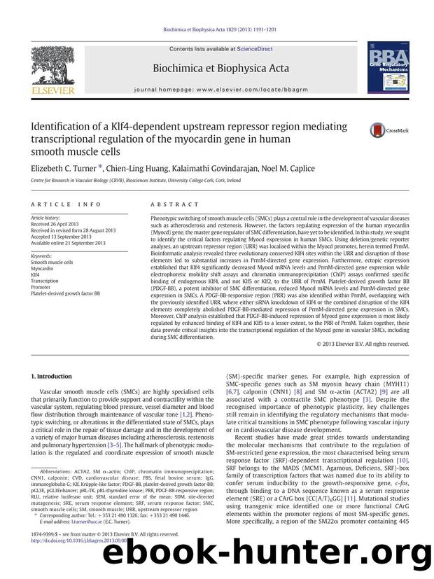 Identification of a Klf4-dependent upstream repressor region mediating transcriptional regulation of the myocardin gene in human smooth muscle cells by Elizebeth C. Turner & Chien-Ling Huang & Kalaimathi Govindarajan & Noel M. Caplice