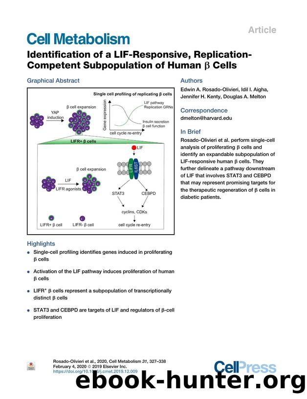Identification of a LIF-Responsive, Replication-Competent Subpopulation of Human &beta; Cells by Edwin A. Rosado-Olivieri & Idil I. Aigha & Jennifer H. Kenty & Douglas A. Melton