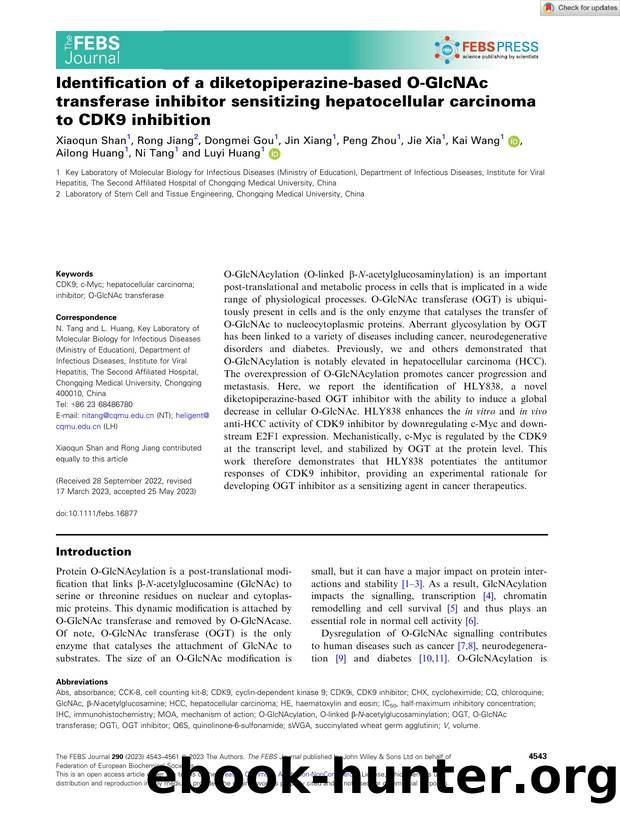 Identification of a diketopiperazineâbased OâGlcNAc transferase inhibitor sensitizing hepatocellular carcinoma to CDK9 inhibition by Unknown