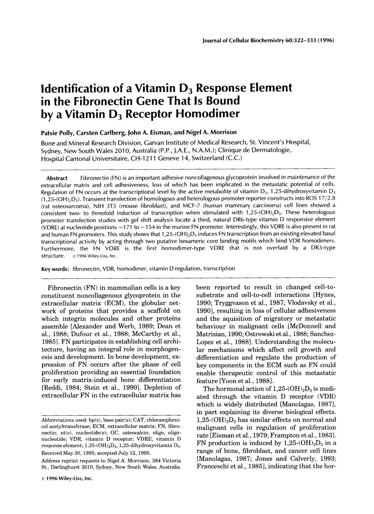 Identification of a vitamin D3 response element in the fibronectin gene that is bound by a vitamin D3 receptor homodimer by Unknown