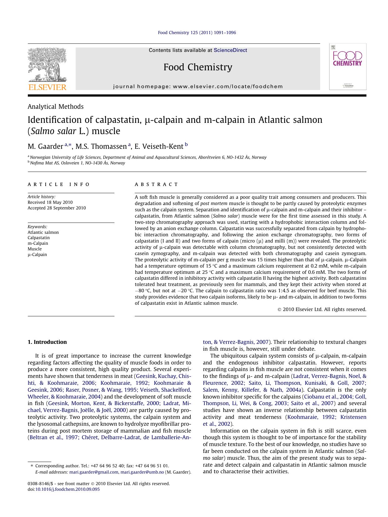 Identification of calpastatin, ÃÂ¼-calpain and m-calpain in Atlantic salmon (Salmo salar L.) muscle by M. Gaarder & M.S. Thomassen & E. Veiseth-Kent