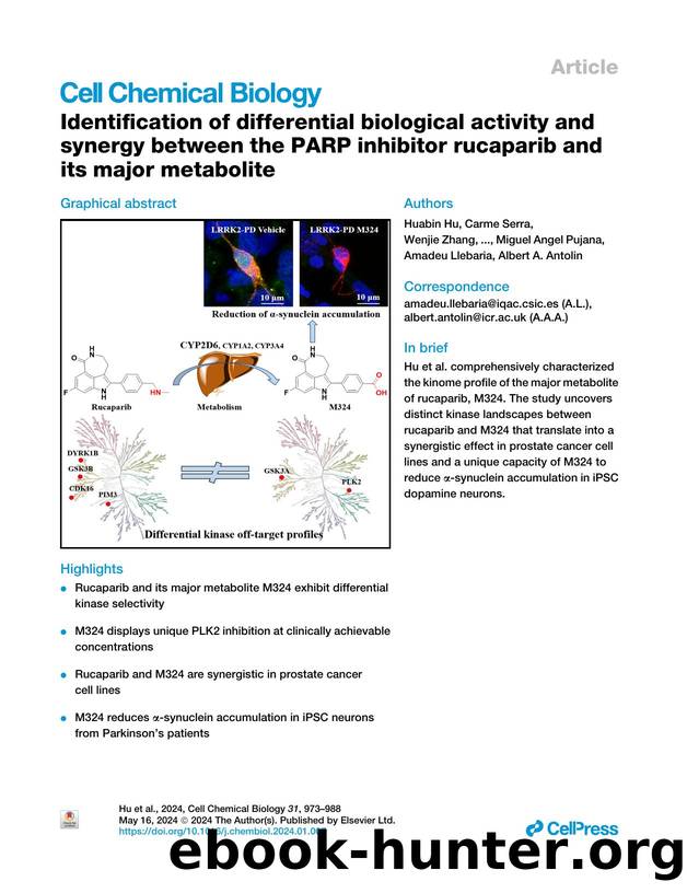 Identification of differential biological activity and synergy between the PARP inhibitor rucaparib and its major metabolite by unknow
