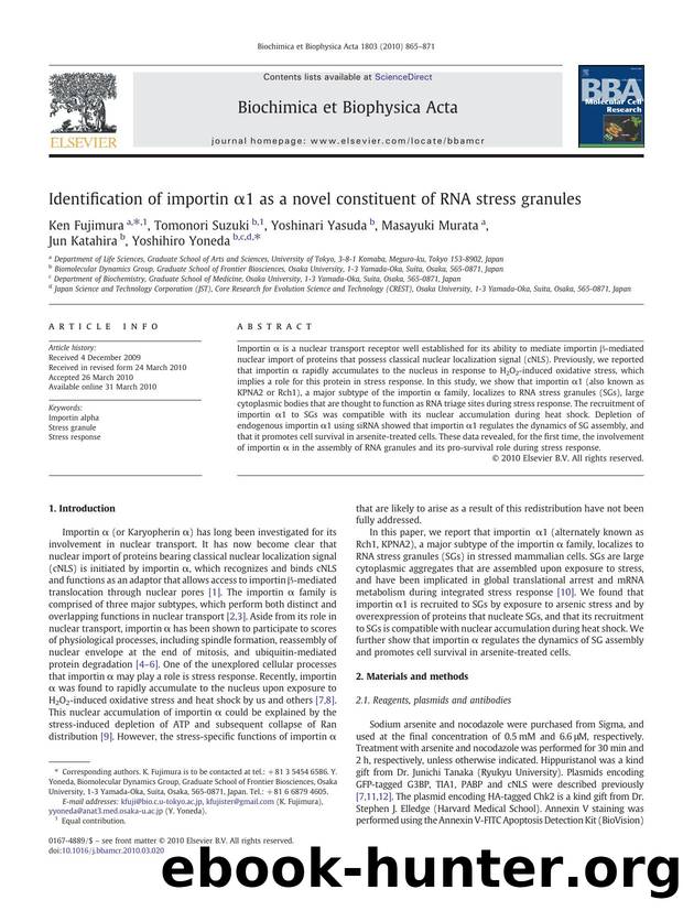 Identification of importin Î±1 as a novel constituent of RNA stress granules by Ken Fujimura; Tomonori Suzuki; Yoshinari Yasuda; Masayuki Murata; Jun Katahira; Yoshihiro Yoneda