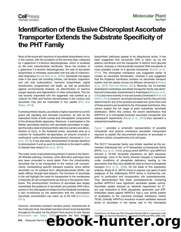 Identification of the Elusive Chloroplast Ascorbate Transporter Extends the Substrate Specificity of the PHT Family by Alisdair R. Fernie & Szilvia Z. Tóth
