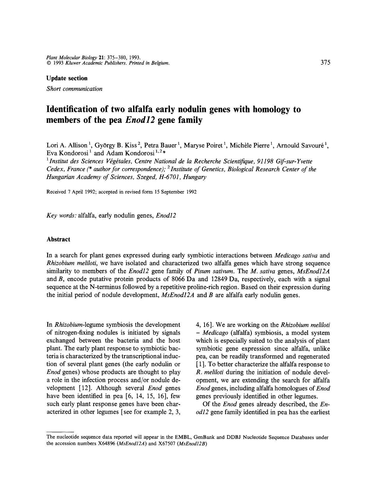 Identification of two alfalfa early nodulin genes with homology to members of the pea <Emphasis Type="Italic">Enod12 <Emphasis> gene family by Unknown