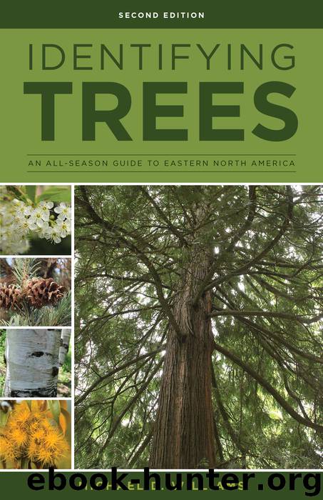 Identifying Trees of the East by Michael D. Williams