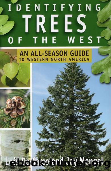 Identifying Trees of the West : An All-season Guide to Western North America (9780811762854) by Demarco Lois; Mengel Jay & Jay Mengel