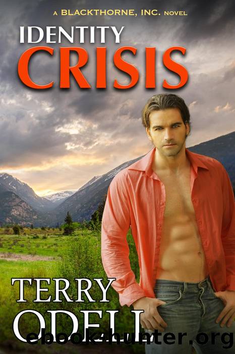 Identity Crisis by Terry Odell