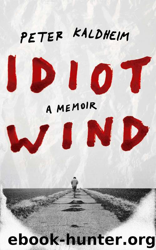 Idiot Wind by Peter Kaldheim