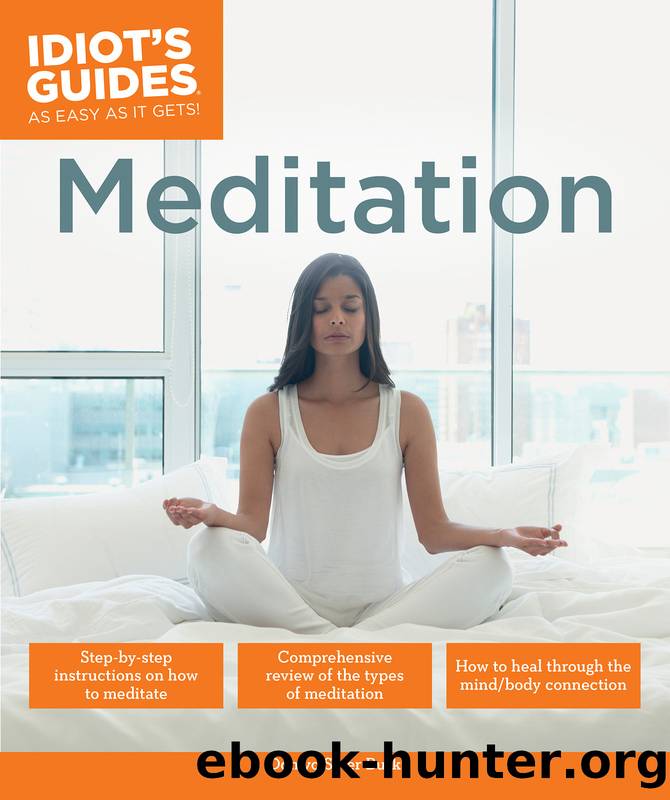 Idiot's Guides - Meditation by Domyo Sater Burk