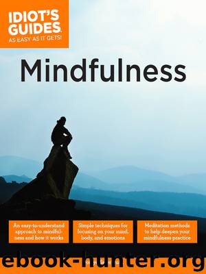Idiot's Guides to Mindfulness by Domyo Sater Burk
