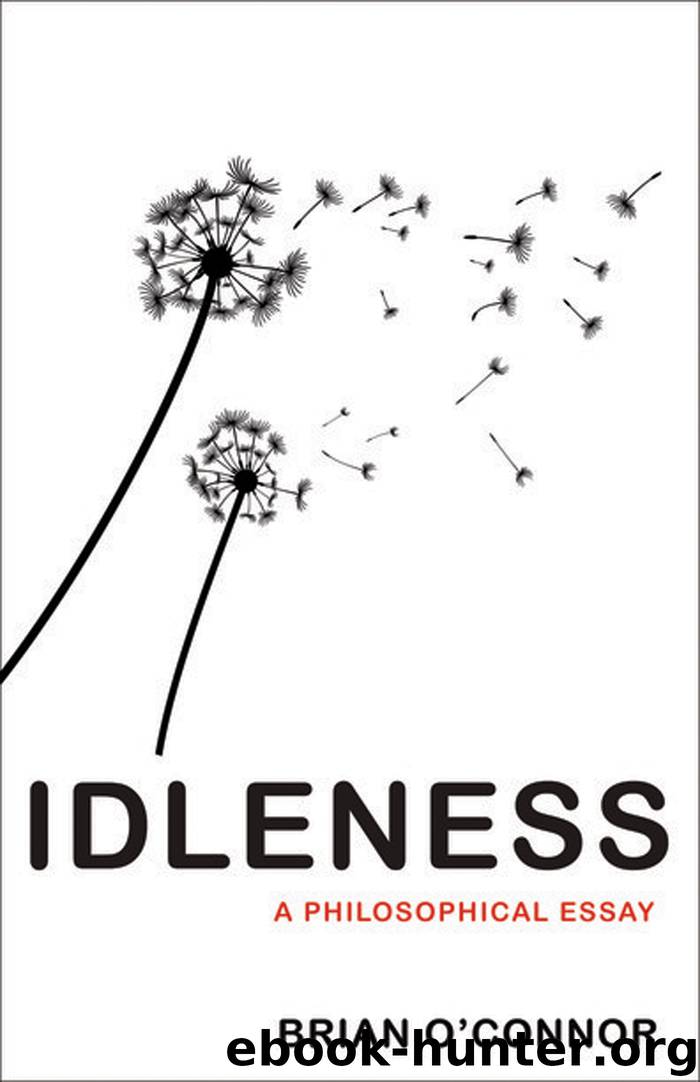 Idleness by Brian O'Connor
