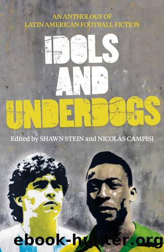 Idols and Underdogs by Shawn Stein