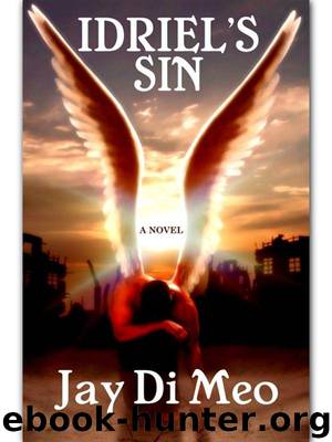 Idriel's Sin by Di Meo Jay
