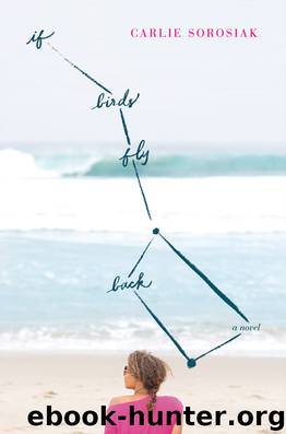 If Birds Fly Back by Carlie Sorosiak