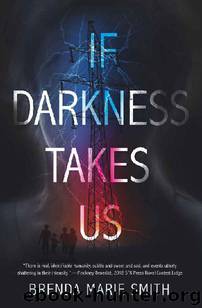 If Darkness Takes Us by Smith Brenda Marie