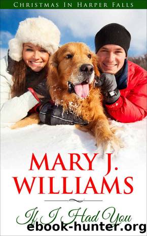 If I Had You (Christmas In Harper Falls) by Mary J. Williams