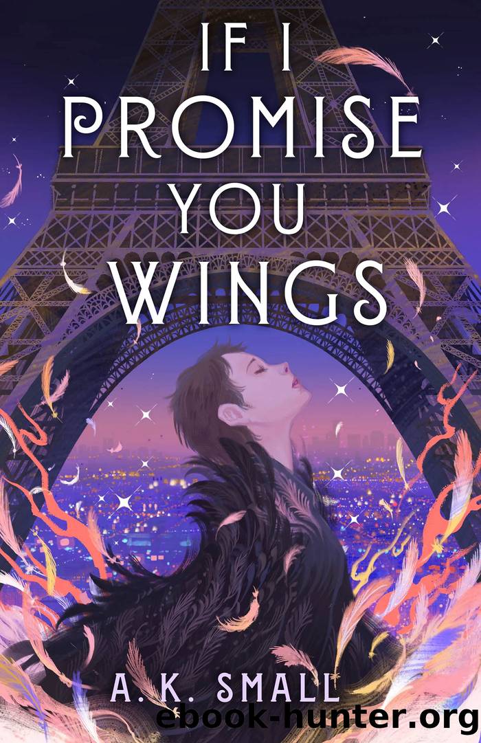 If I Promise You Wings by A.K. Small