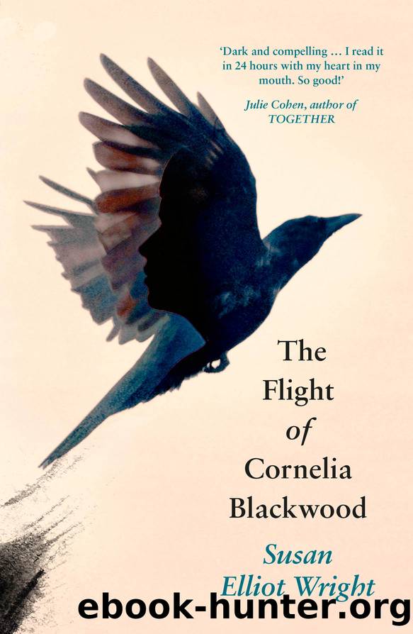 If I Should Fall by Susan Elliot Wright