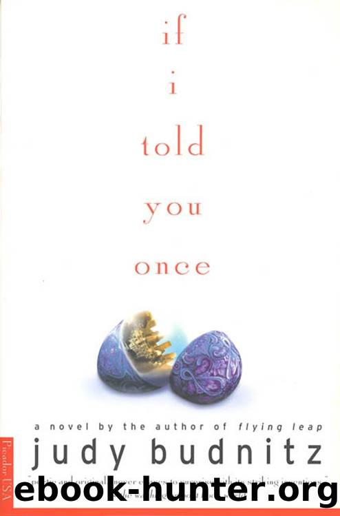 If I Told You Once by Judy Budnitz